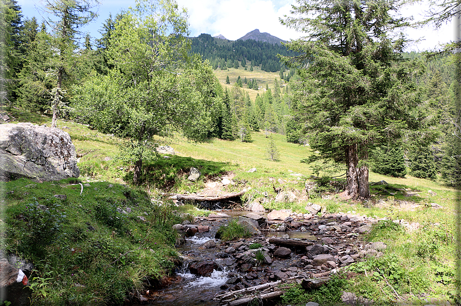 foto Da Forcella Montalon a Val Campelle